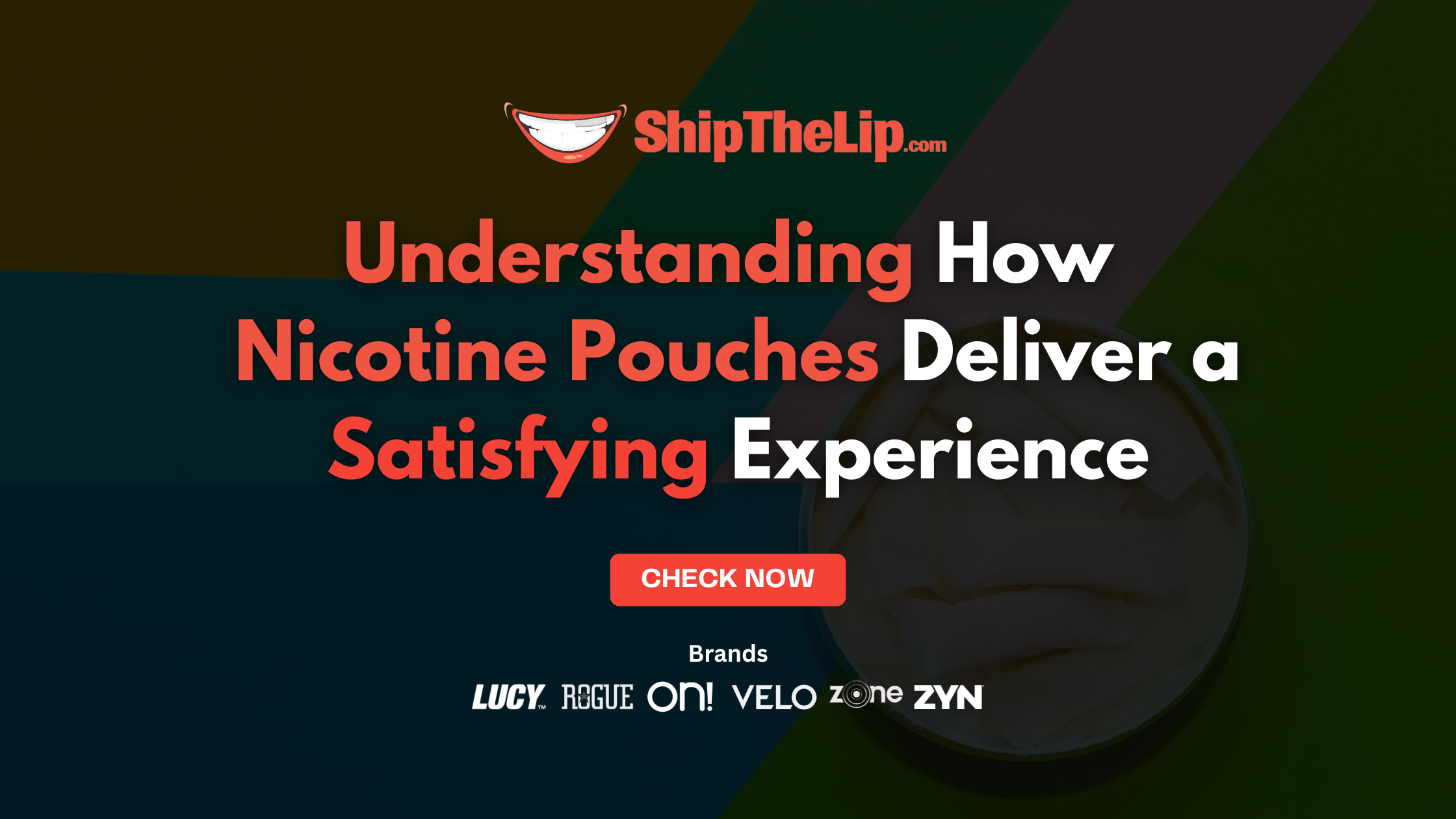 Understanding Nicotine Absorption: How Pouches Deliver a Satisfying Experience