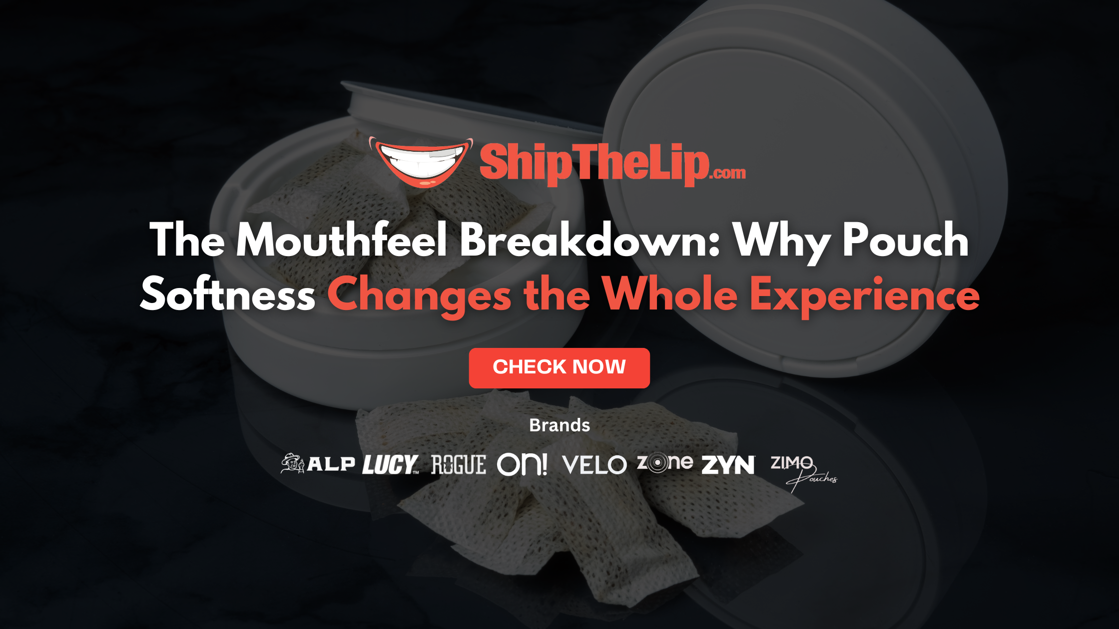 The Mouthfeel Breakdown: Why Pouch Softness Changes the Whole Experience