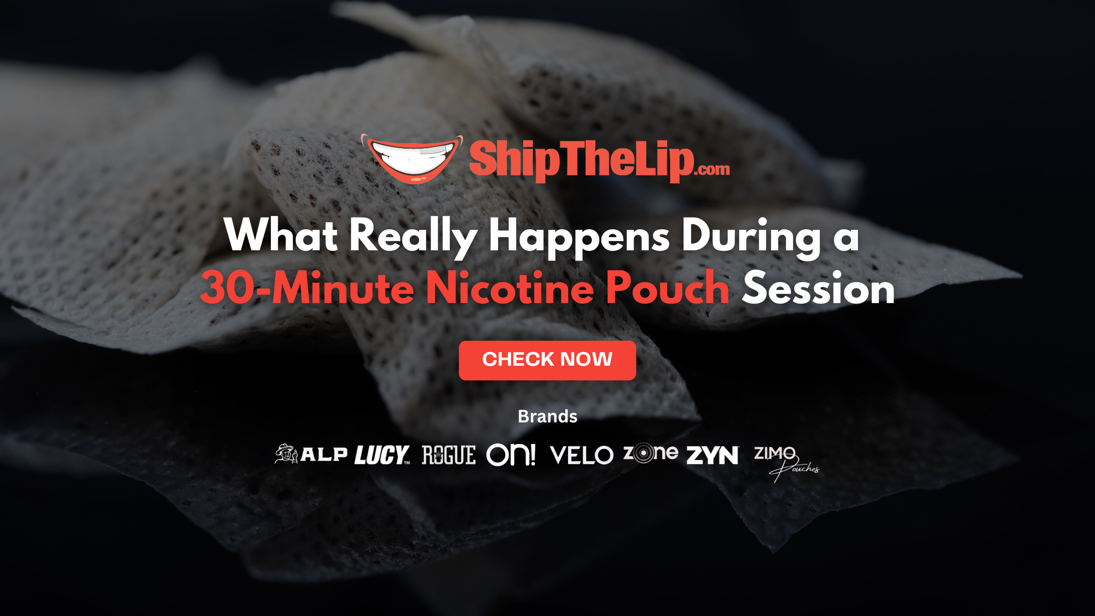 The Sensory Timeline: What Really Happens During a 30-Minute Nicotine Pouch Session