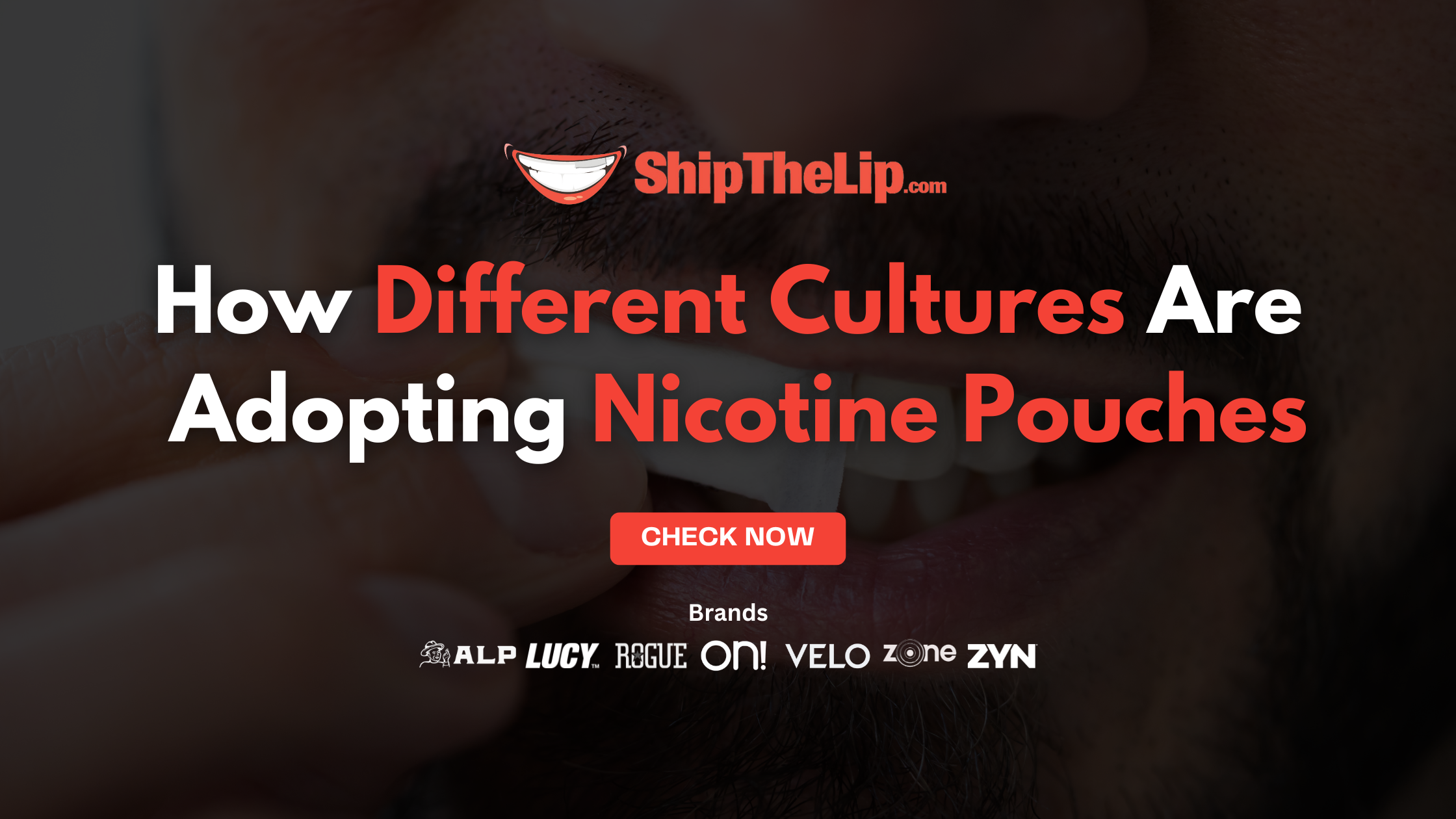 Global Perspectives: How Different Cultures Are Adopting Nicotine Pouches