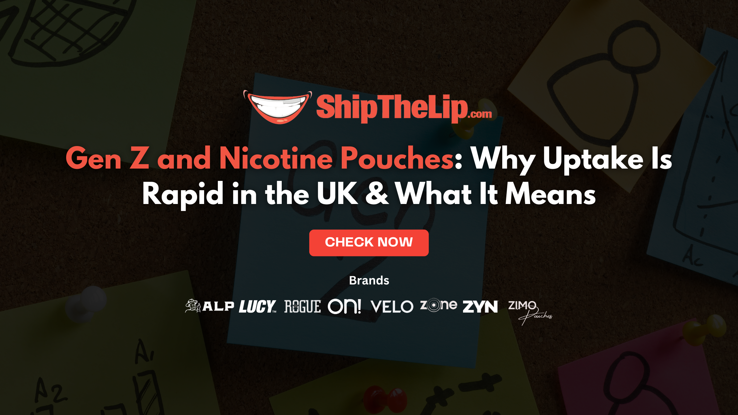 Gen Z and Nicotine Pouches: Why Uptake Is Rapid in the UK & What It Means