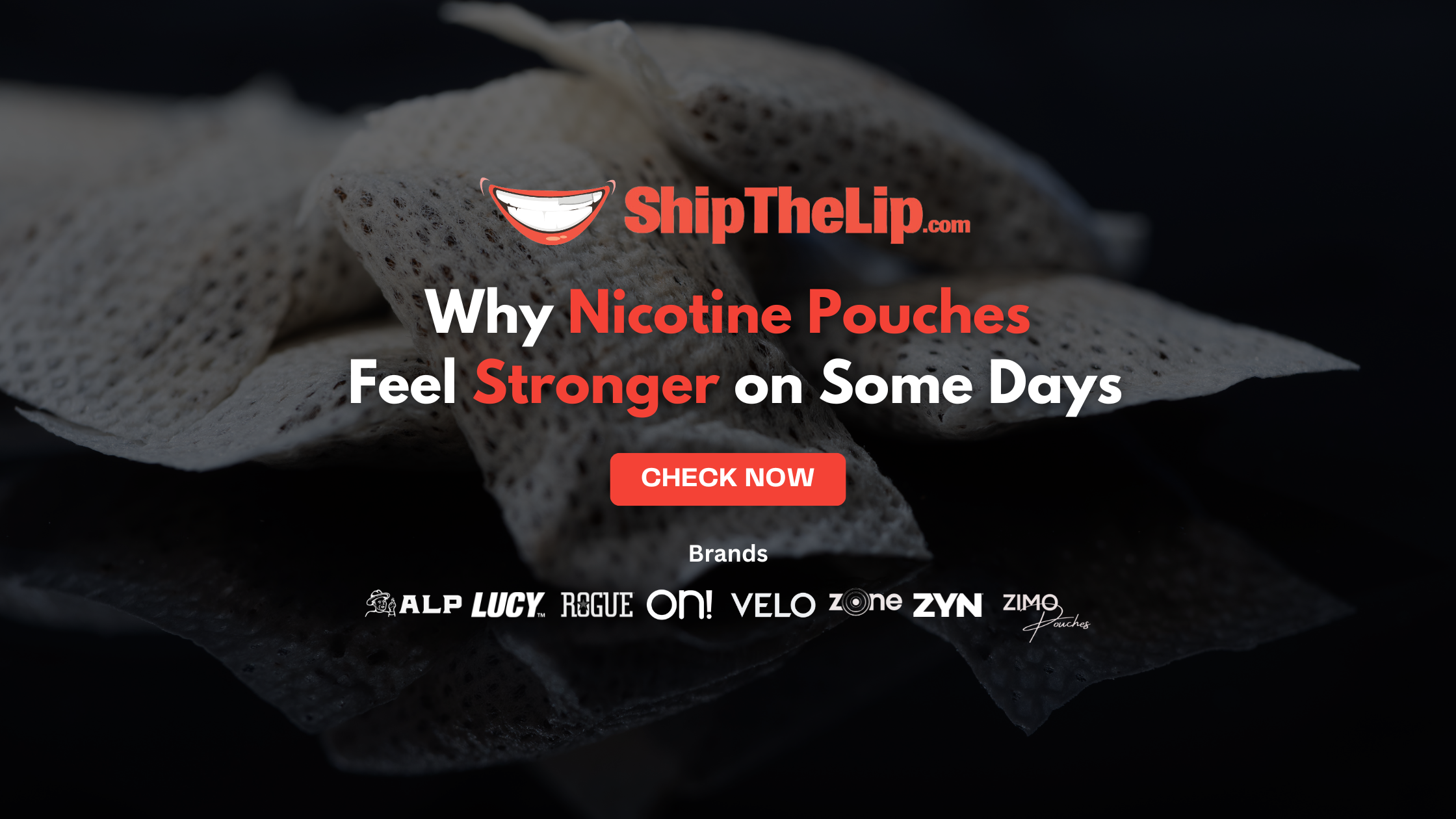Why Nicotine Pouches Feel Stronger on Some Days (And Not Others)