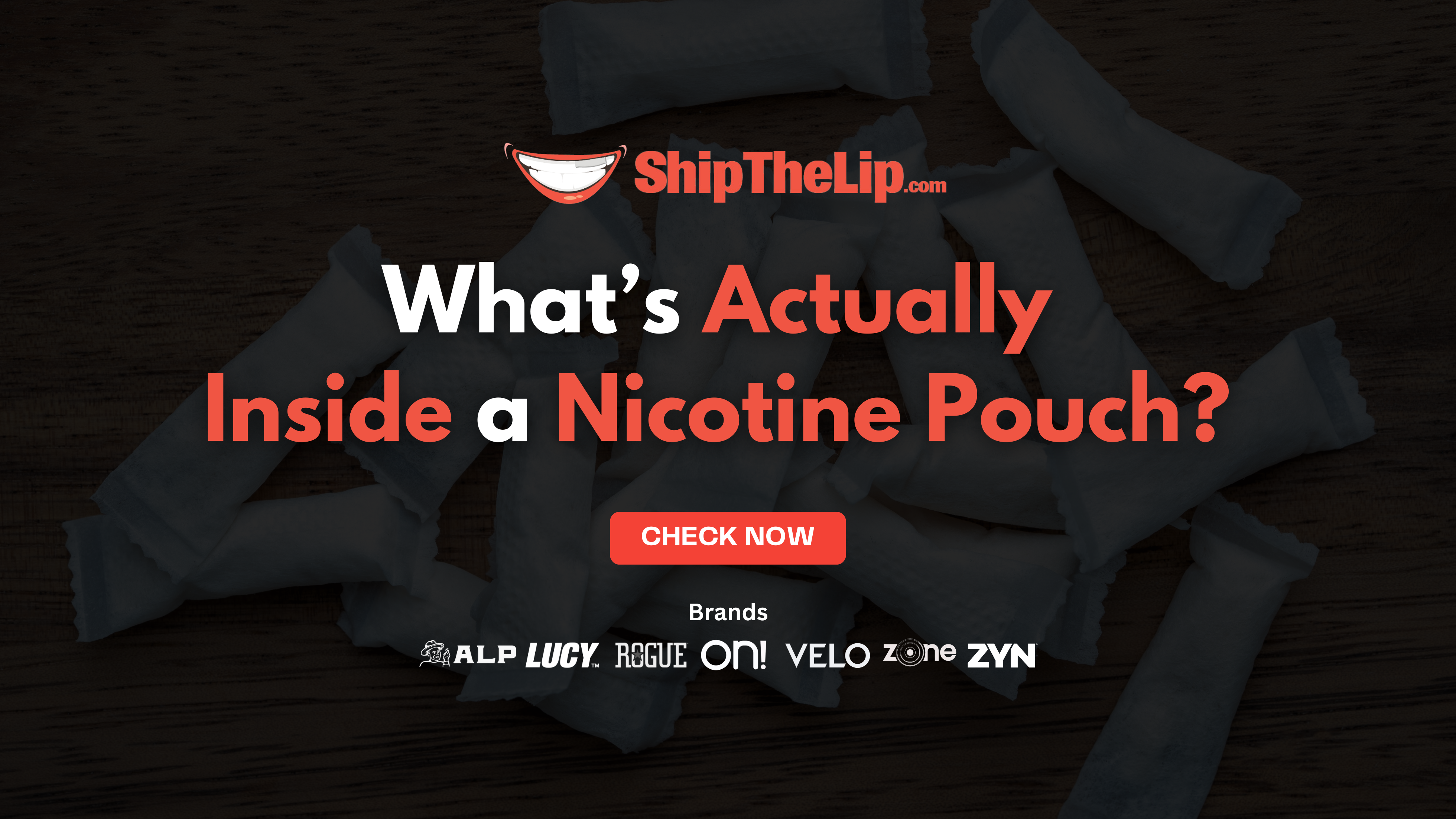 What’s Actually Inside a Nicotine Pouch? A Breakdown by a Chem Nerd