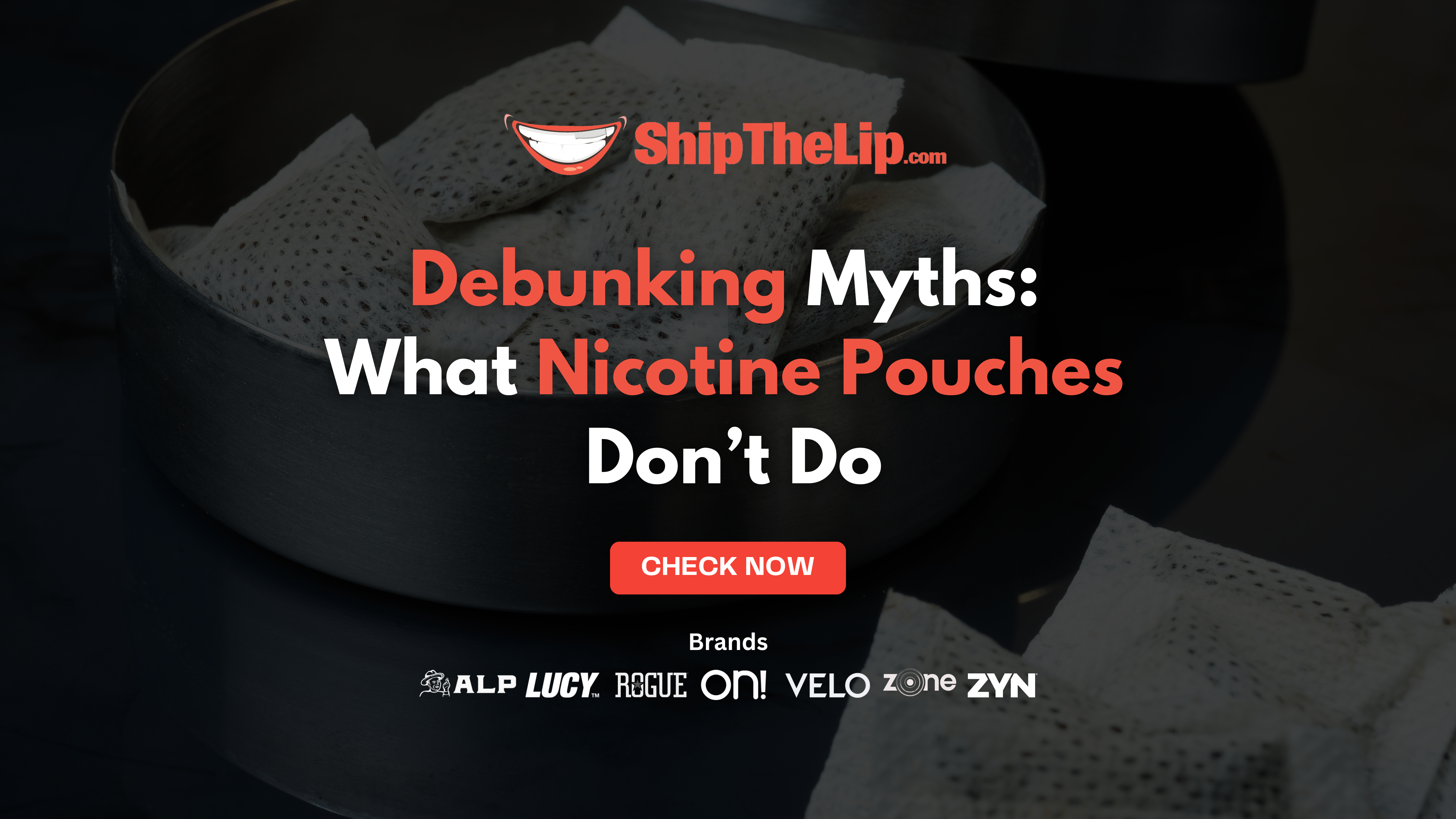 Debunking Myths: What Nicotine Pouches Don’t Do