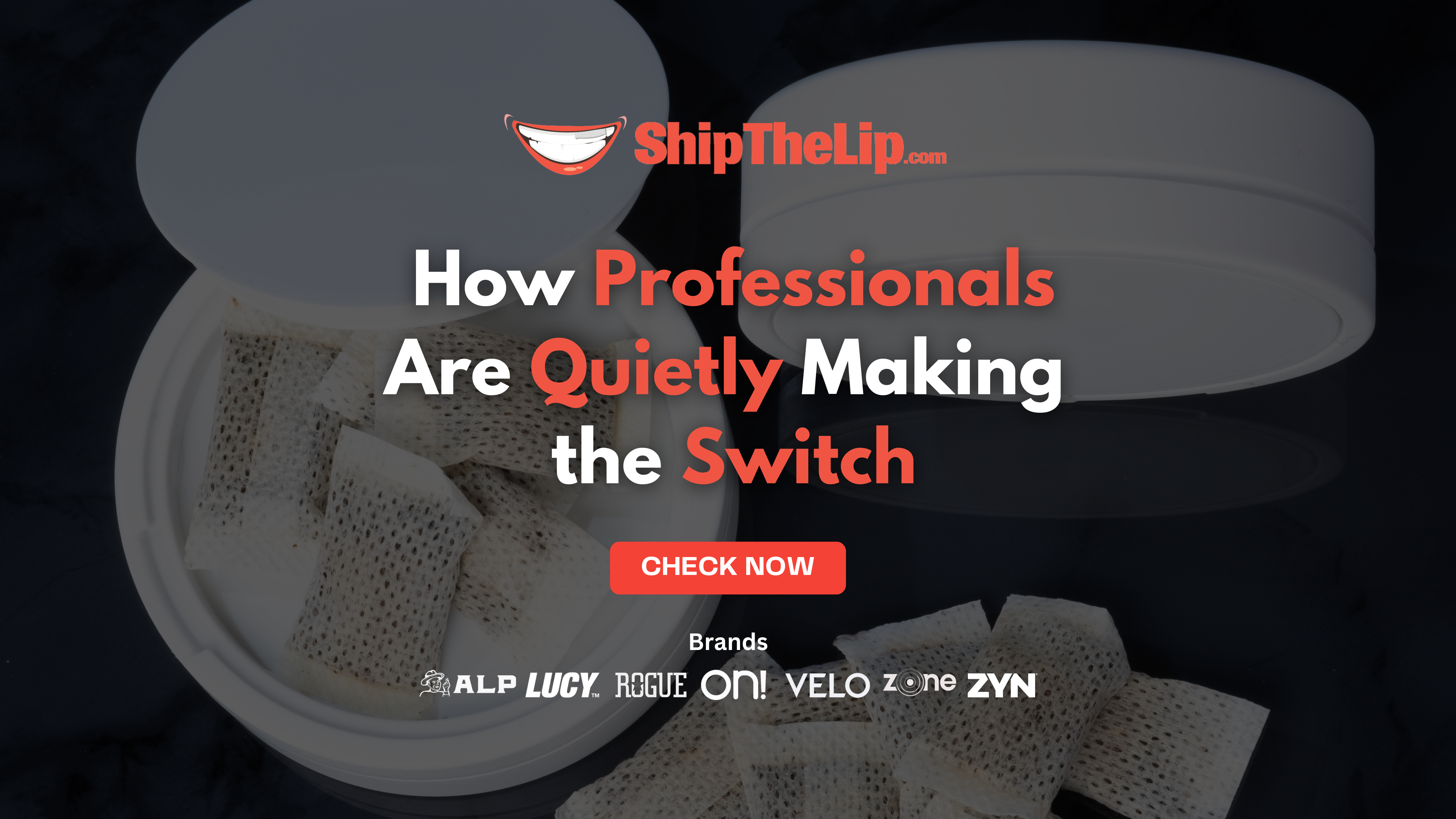 Nicotine Pouches in the Office: How Professionals Are Quietly Making the Switch