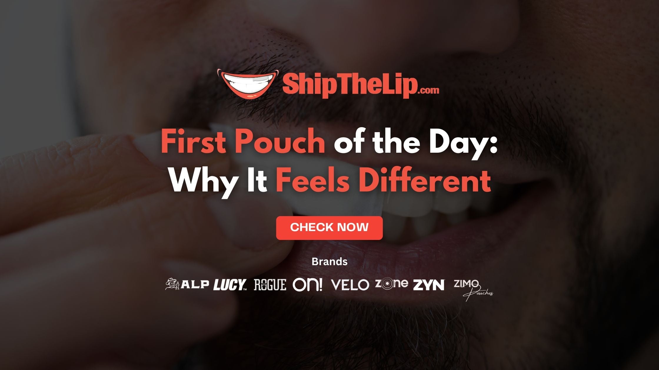 The Science of the ‘First Pouch of the Day’: Why It Feels Different