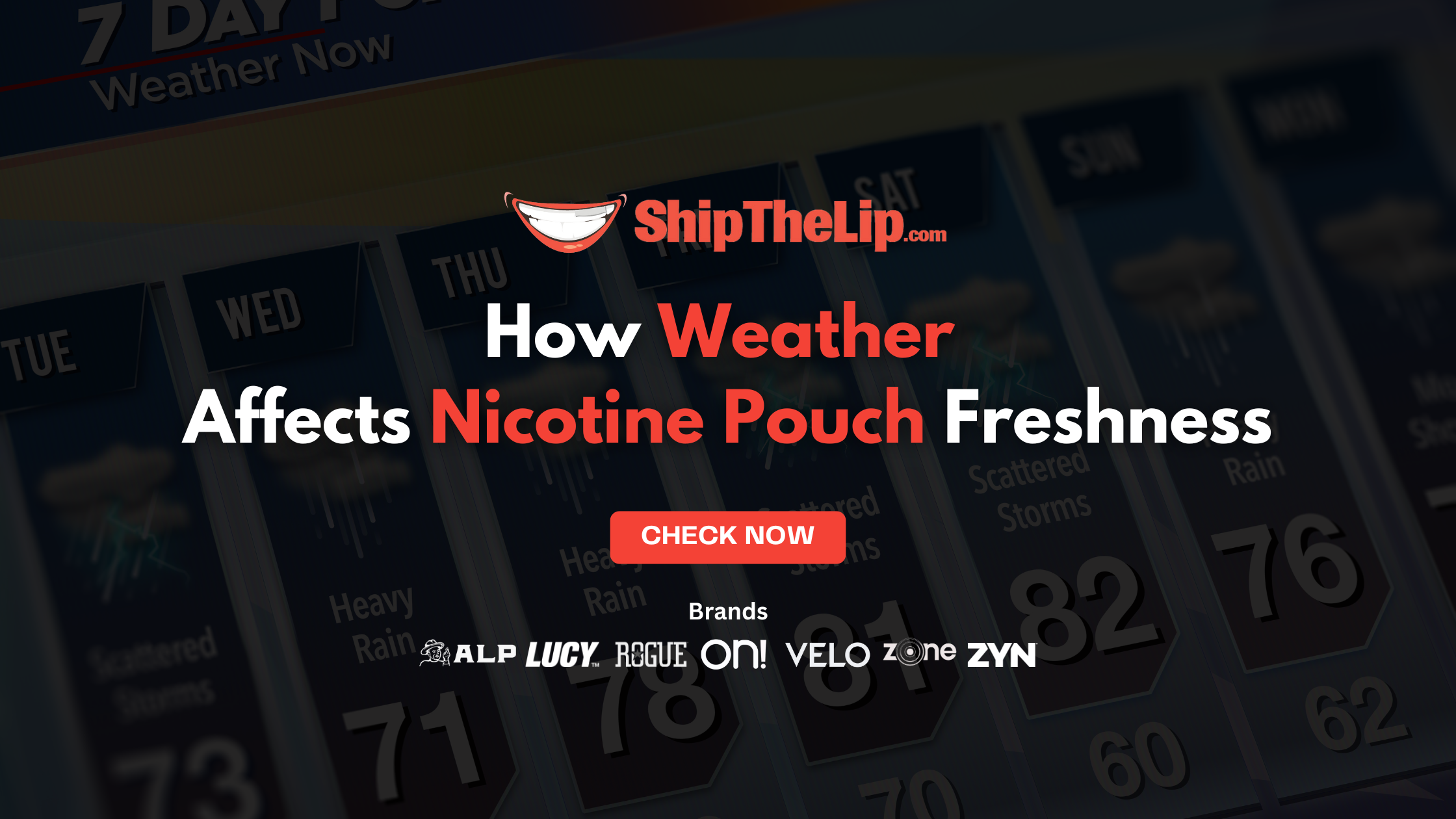 Heat vs. Humidity: How Weather Affects Nicotine Pouch Freshness