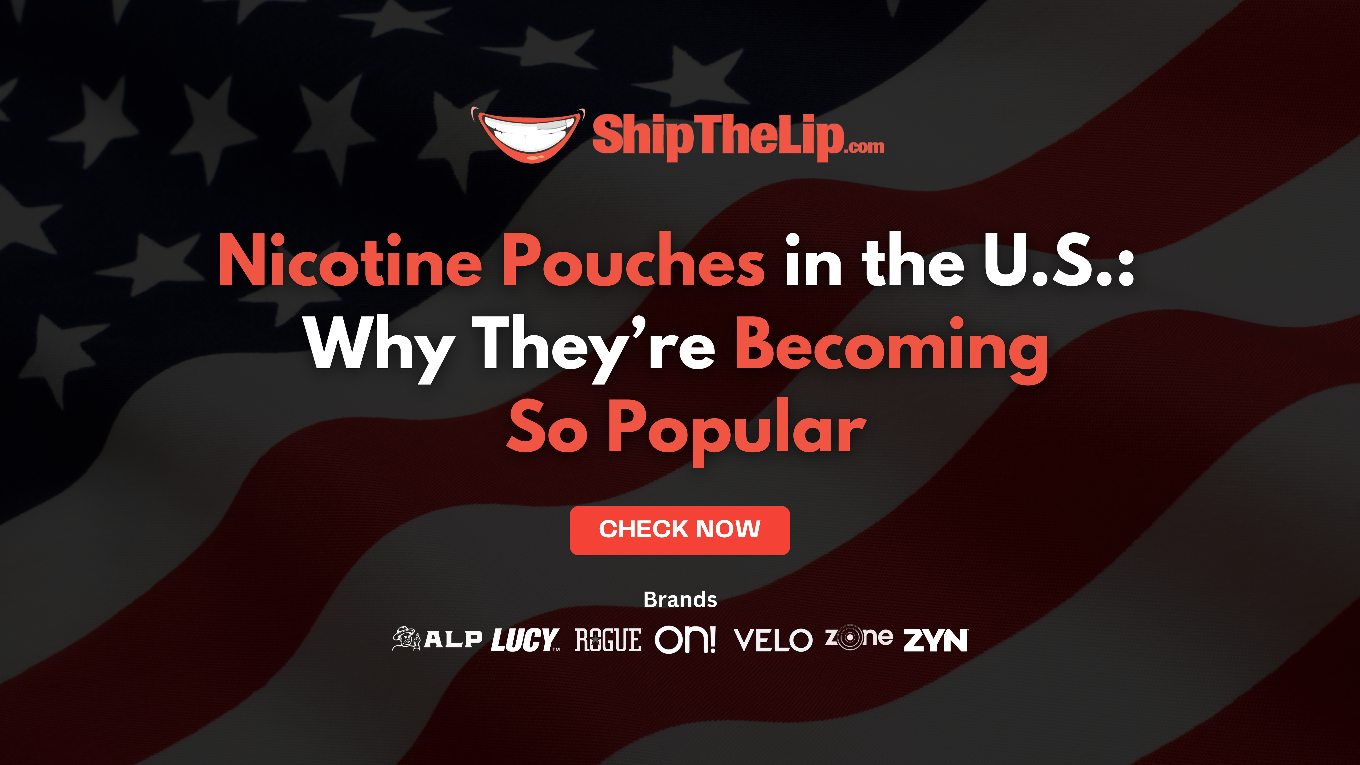 Nicotine Pouches in the U.S.: Why They’re Becoming So Popular
