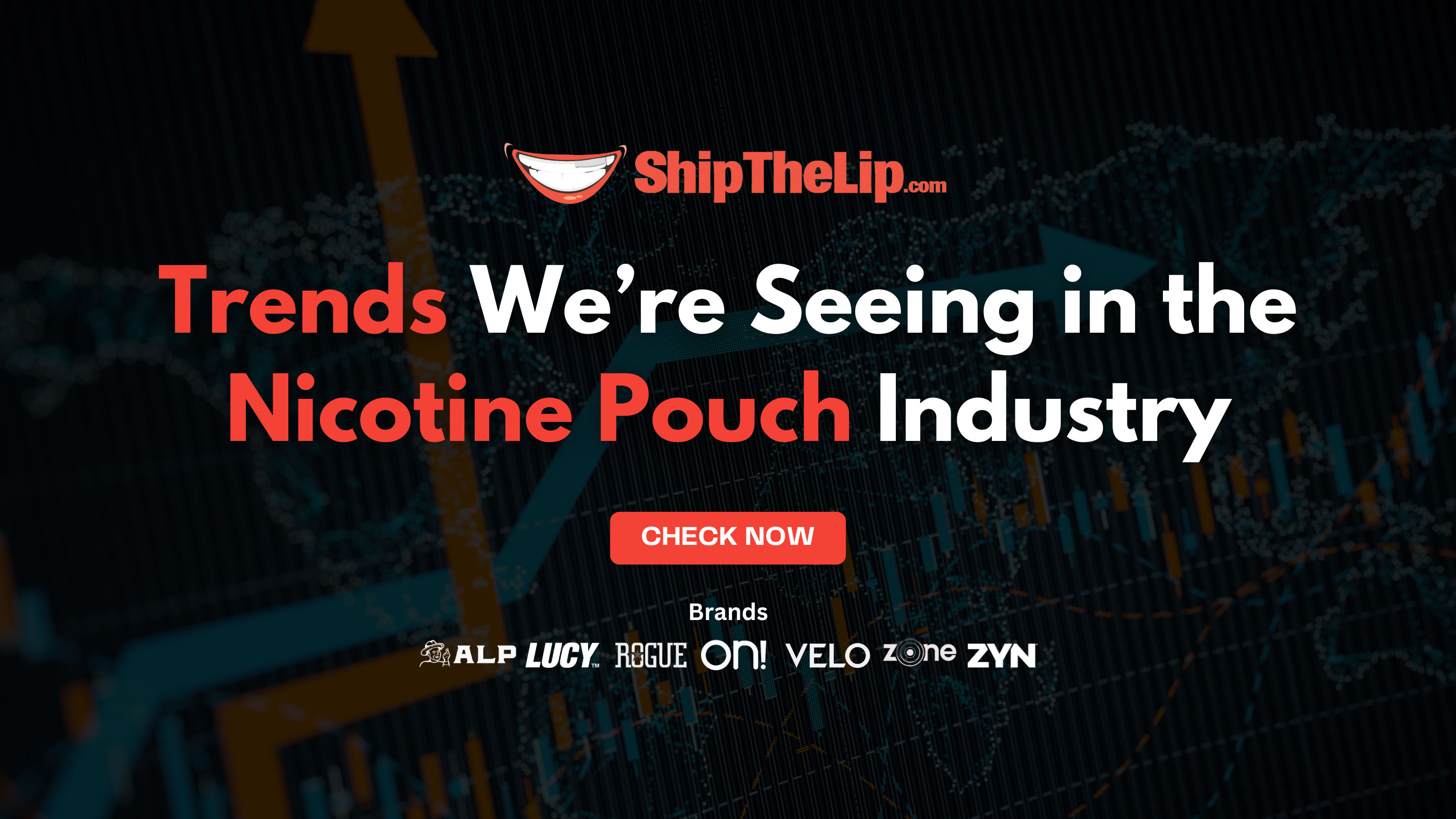 Trends We’re Seeing in the Nicotine Pouch Industry (And What They Mean for You)