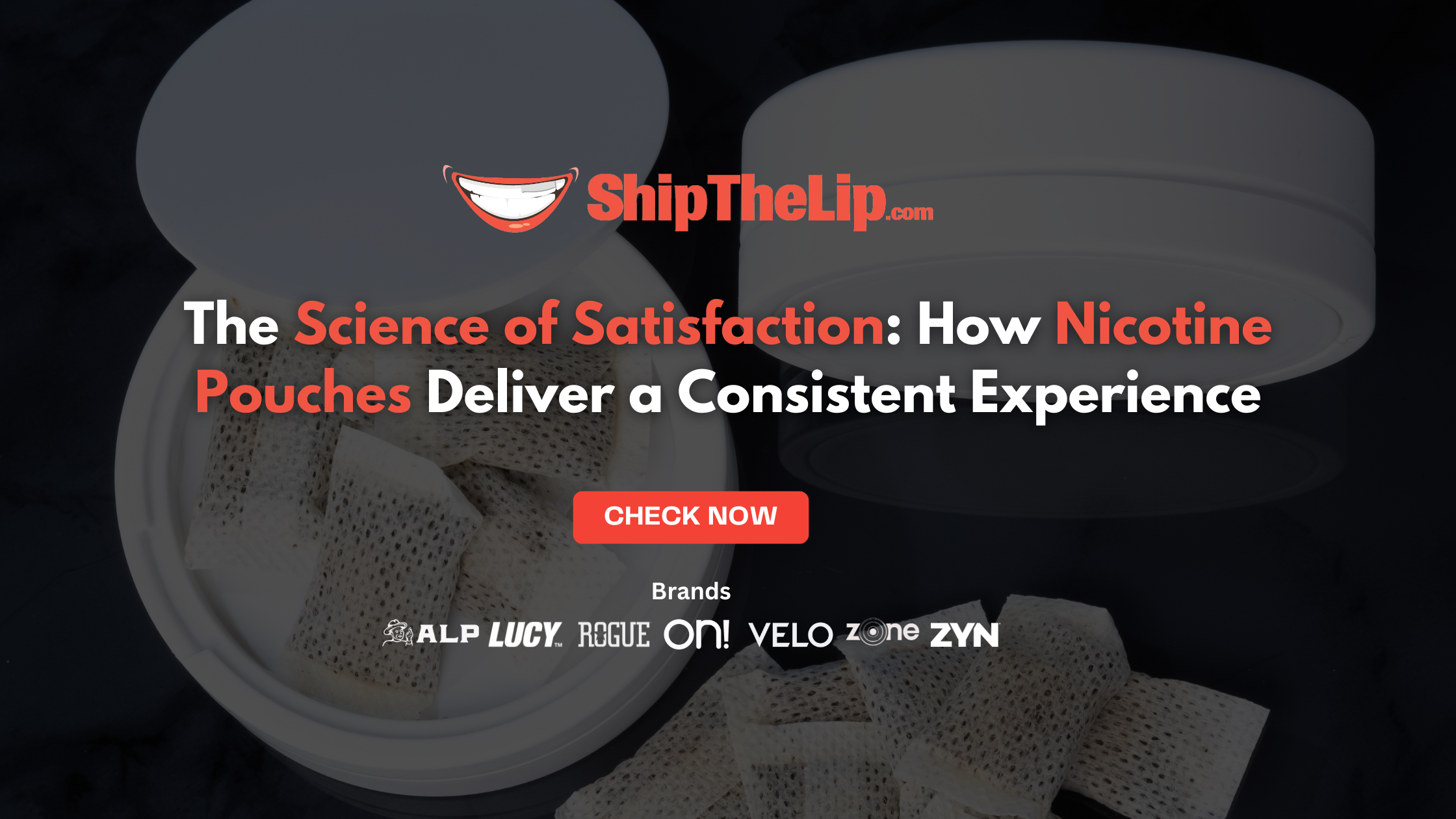 The Science of Satisfaction: How Nicotine Pouches Deliver a Consistent Experience