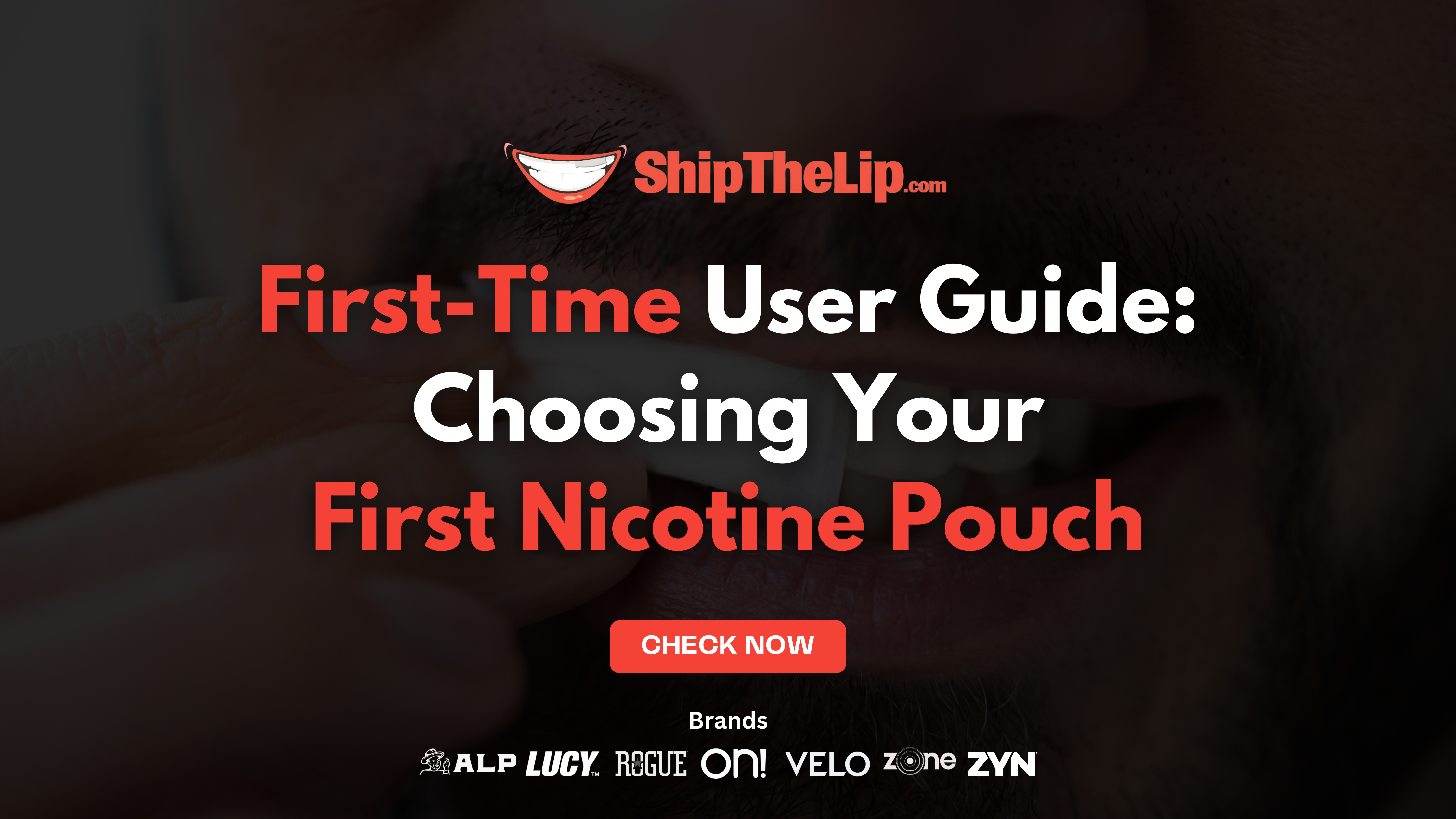 First-Time User Guide: Choosing Your First Nicotine Pouch