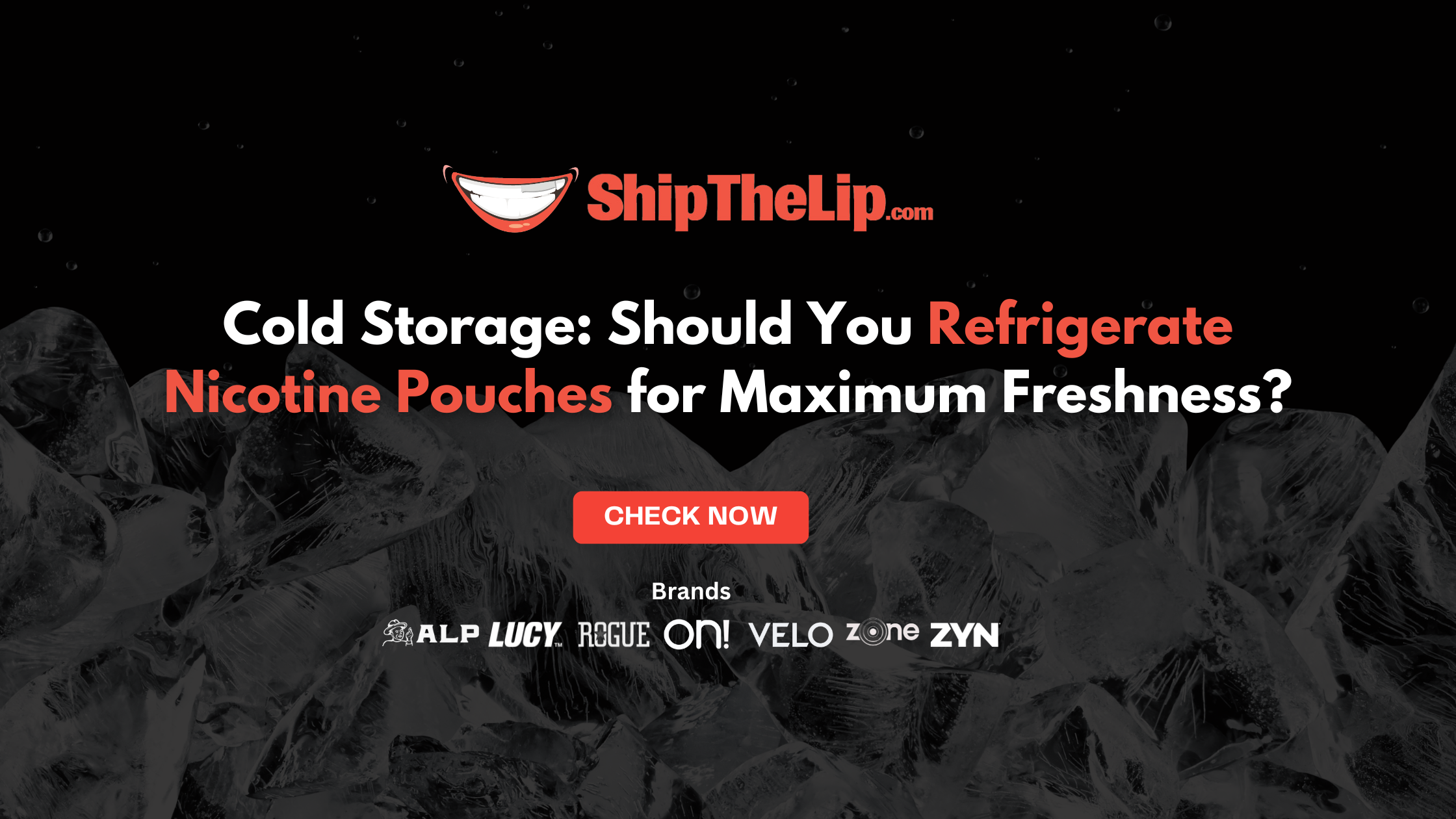 Cold Storage: Should You Refrigerate Nicotine Pouches for Maximum Freshness?
