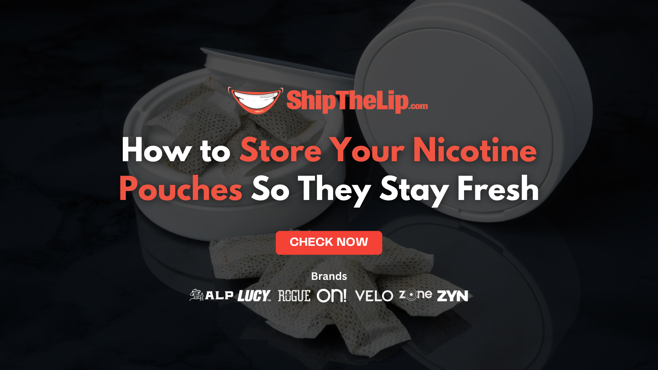 How to Store Your Nicotine Pouches So They Stay Fresh — The Complete Guide