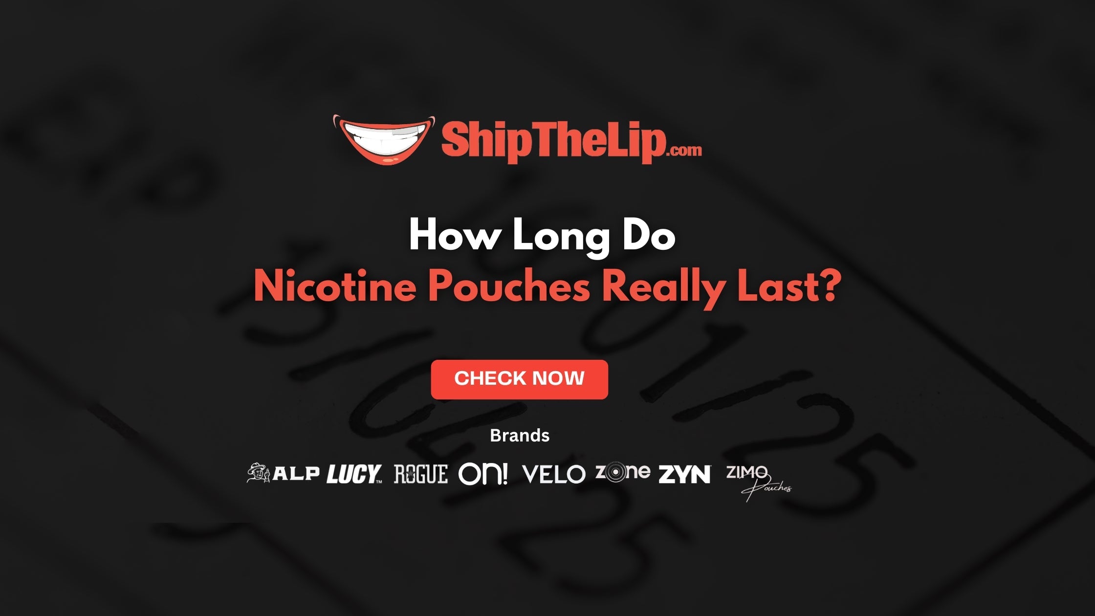 Decoding Expiry Dates: How Long Do Nicotine Pouches Really Last?
