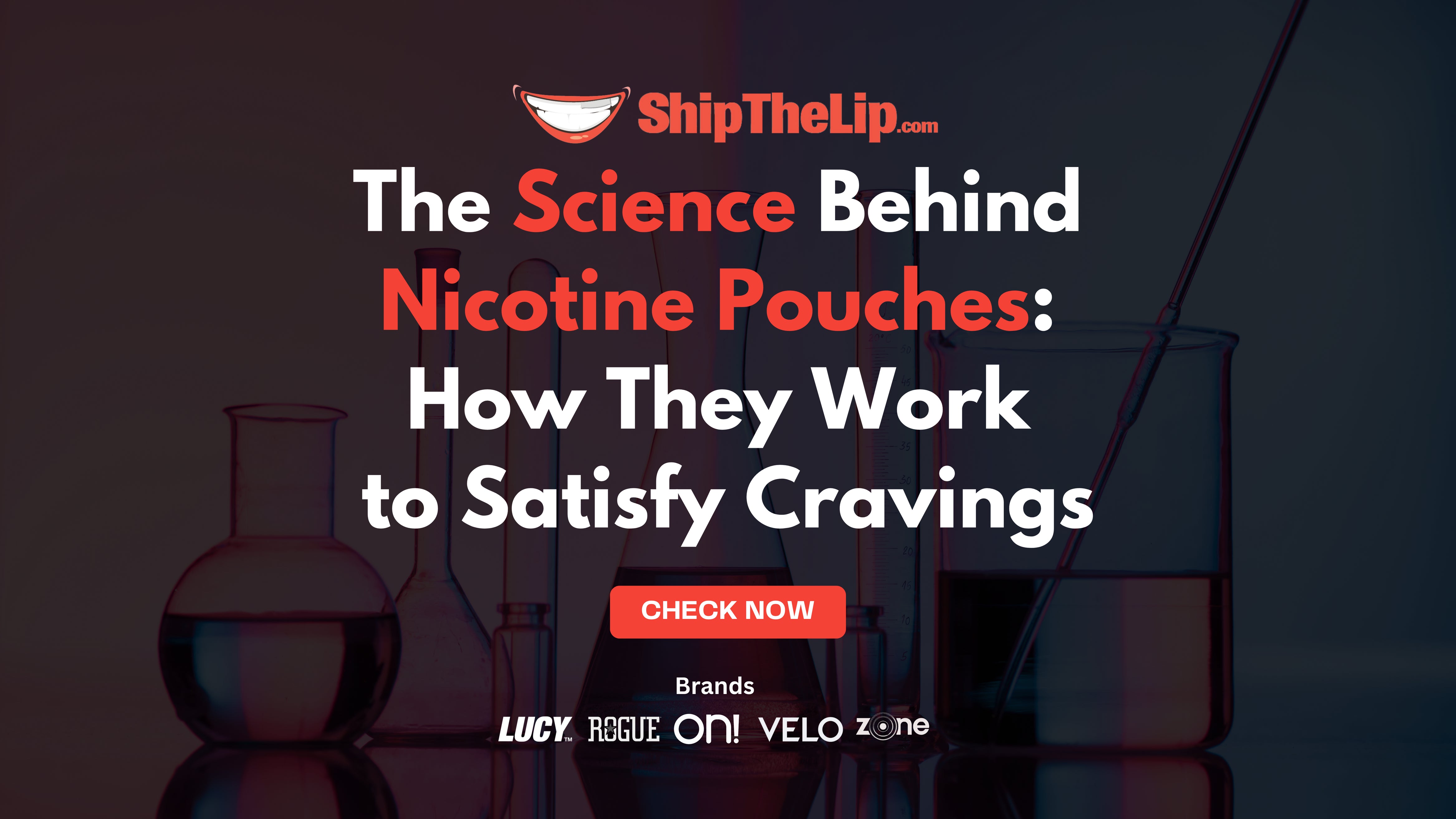 The Science Behind Nicotine Pouches: How They Work to Satisfy Cravings