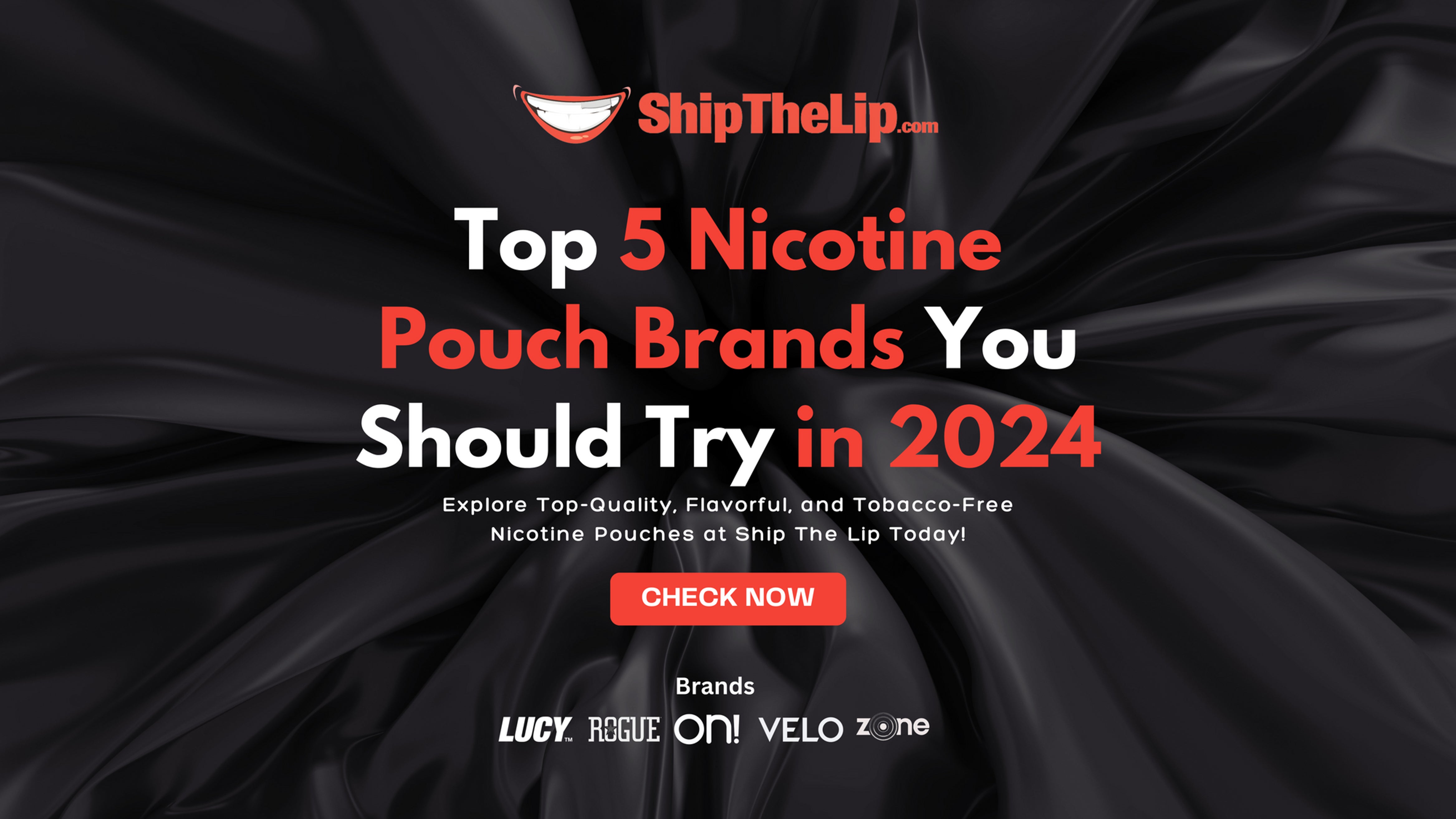 Top 5 Nicotine Pouch Brands You Should Try in 2024